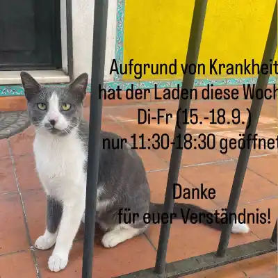#ernas_aktuelles Hallo liebe Ernies. Aufgrund von Krankheit hat der Laden diese Woche Di-Fr nur 11:30-18:30 geöffnet. danke für euer Verständnis.